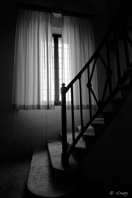 Copyright Stefano Maselli